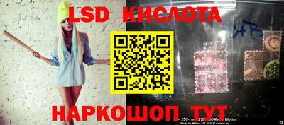гашик Камышлов