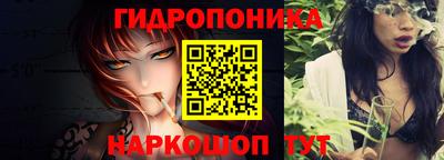 гашик Камышлов