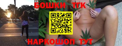 гашик Камышлов