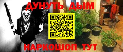 гашик Камышлов