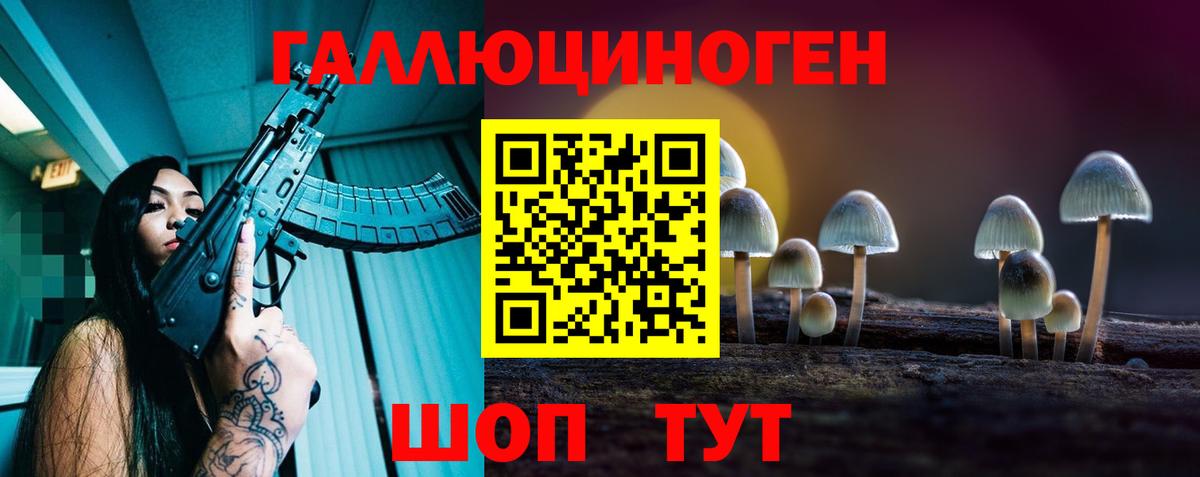 Галлюциногенные грибы GOLDEN TEACHER Красногорск