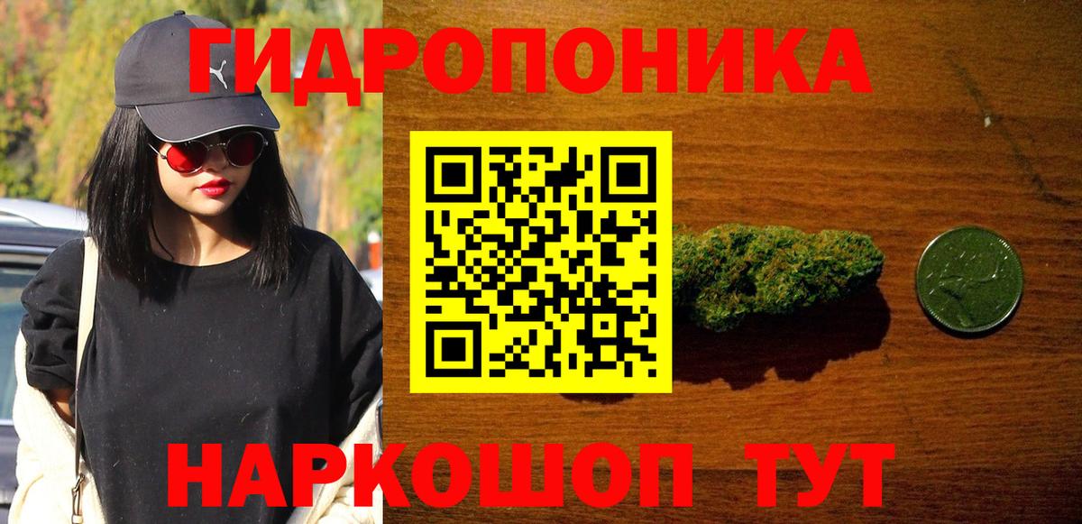 Бошки марихуана Bruce Banner  Канабис Ganja  Конопля план  Вход с VPN  Красногорск 